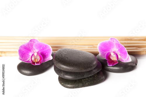 zen stone and orchid. spa concept