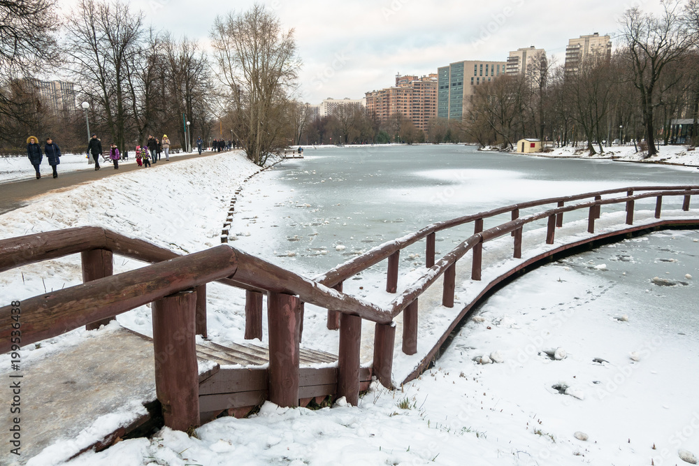 Fototapeta premium MOSCOW. RUSSIA. DECEMBER,03.2017: Desolated pensive frozen pond in city park is mysterious and full of sad harmony so on a cloudy winter day it looks like a Snow Queen`s estate.