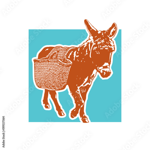 Drawing of donkey with carrying luggage - in front view.  Cute illustration of farm animal with basket on the back. Vector image.