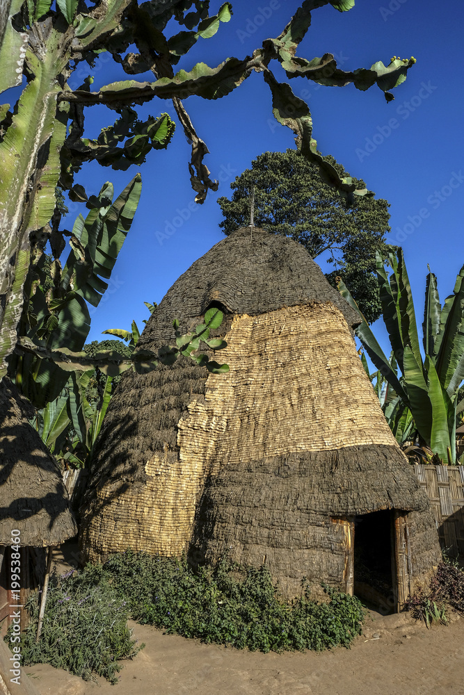 Architectural style is showed in the african hut of the Dorze ethnic group at the Chencha village in the Guge mountains in Chencha, Ethiopia.