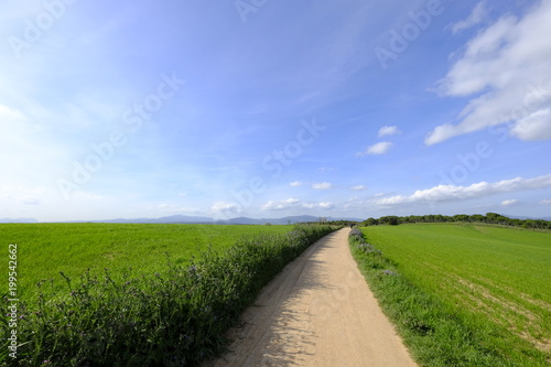 Country road in Mollet del Valles in Barcelona province in Catalonia Spain to the horizon between green fields