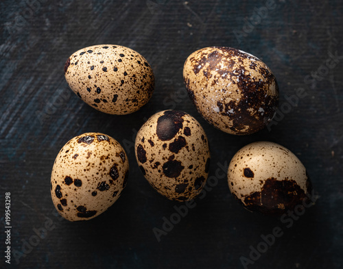 Quail eggs on dark background.