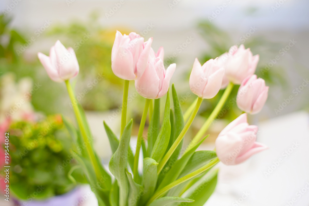 Fototapeta premium a bouquet of tulips