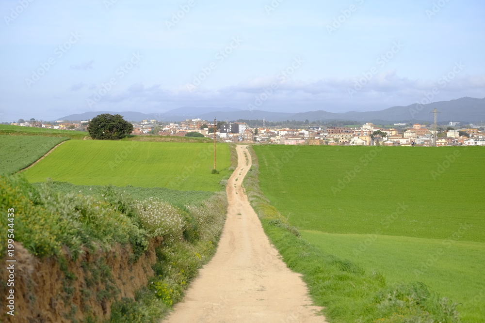 Country road in Mollet del Valles in Barcelona province in Catalonia Spain to the horizon between green fields Country road in Mollet del Valles in Barcelona province in Catalonia Spain to the horizon between green fields