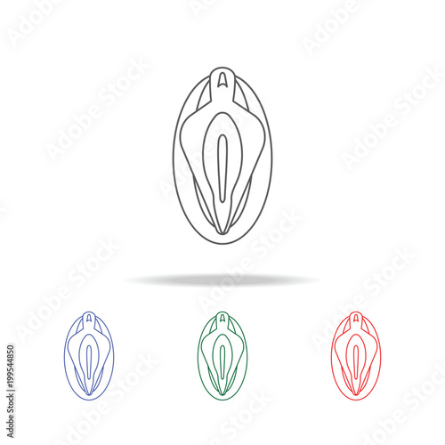 Vagina line  icon. Elements of human body part multi colored icons. Premium quality graphic design icon. Simple icon for websites, web design, mobile app, info graphics