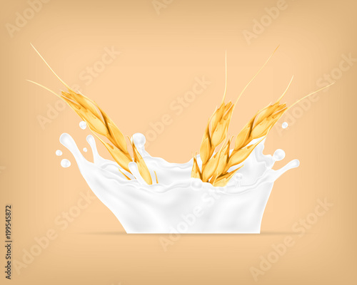 Wheat and milk splash.