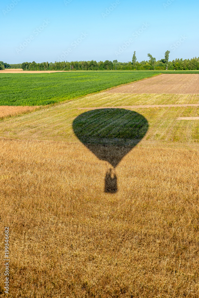Lot balonem na gorące powietrze na polami - obrazy, fototapety, plakaty 