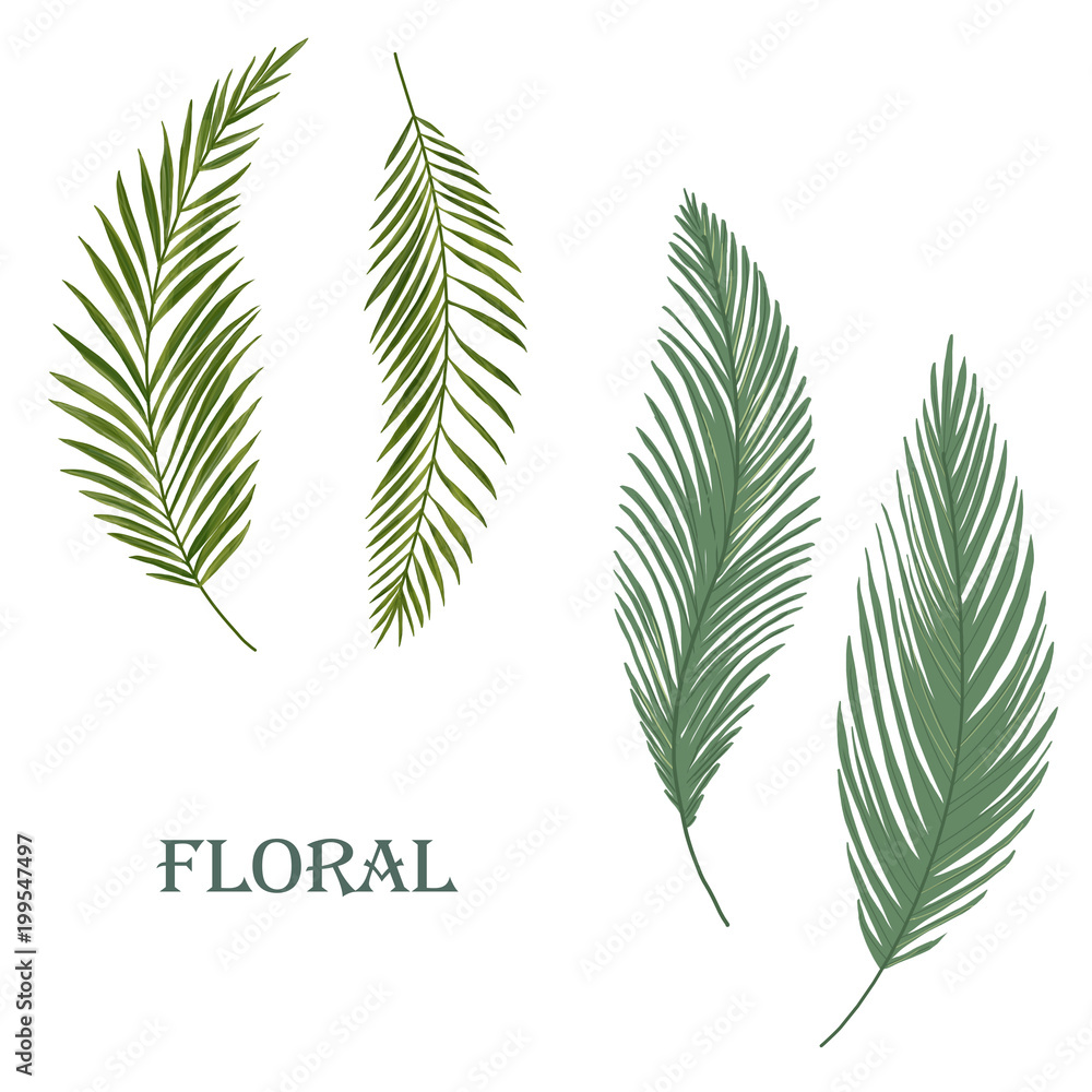Tropical floral jungle leaf Tropical floral jungle leaf