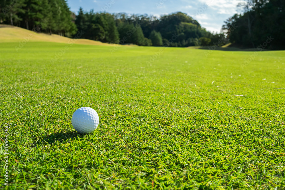 Fairway golf sales