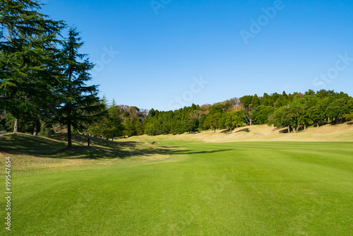 Golf Course where the turf is beautiful and green in Chiba Prefecture, Japan. Golf course with a rich green turf beautiful scenery.
