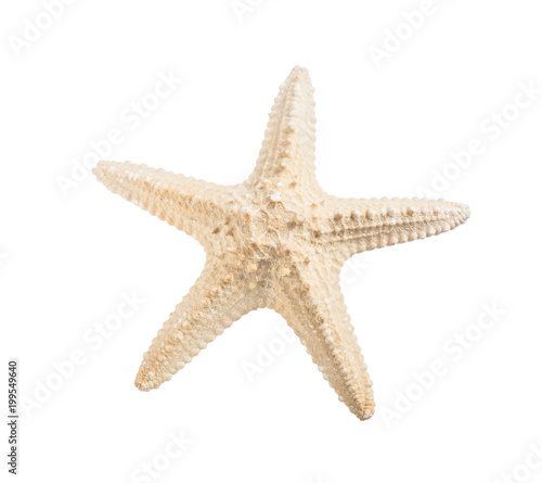 Starfish isolated on white horizontal view