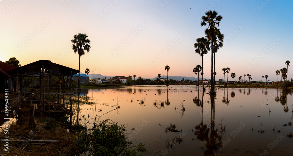 Sunset with small pond and palm trees growing in. Kampot City, Cambodia