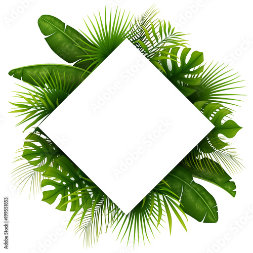 Tropical green leaves with white frame place for text isolated on white background