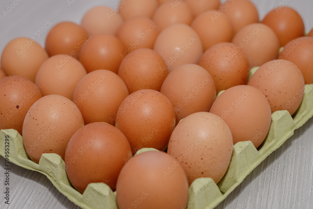 chicken egg tray close up
