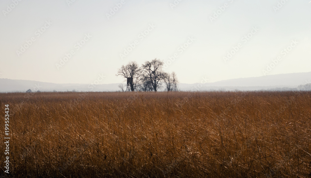 Fototapeta premium Rural landscape view in Bavaria Germany