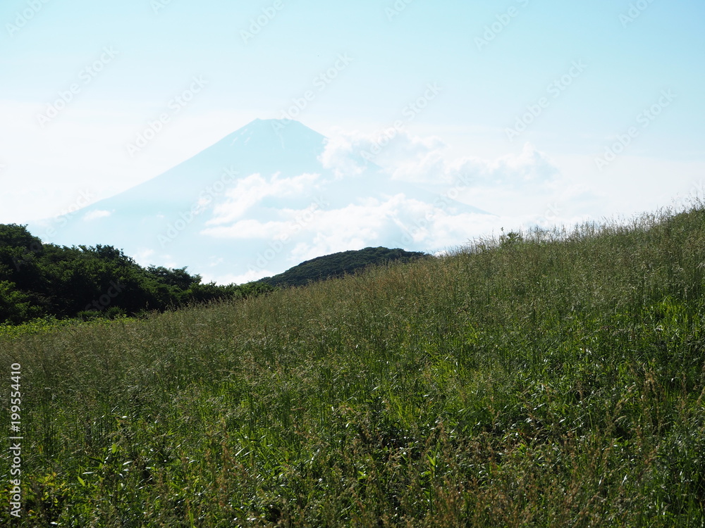 Fototapeta premium Mount Fuji Japan