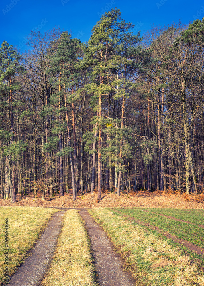 Fototapeta premium Rural landscape view in Bavaria Germany