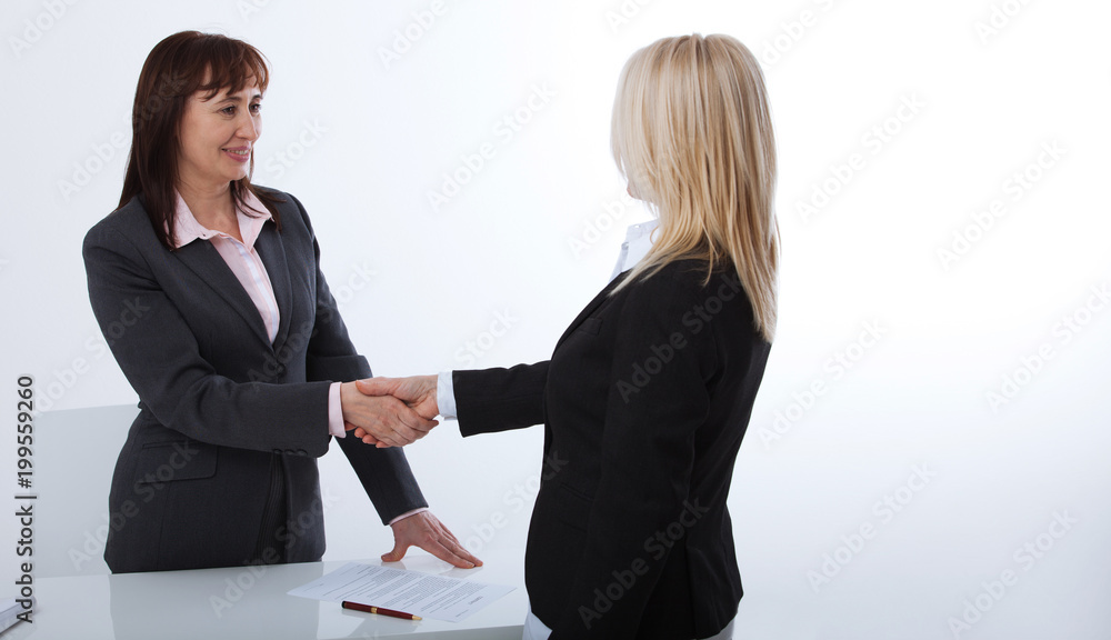 Business handshake. Two business women shake hands with each other to sign a successful deal Business handshake. Two business women shake hands with each other to sign a successful deal