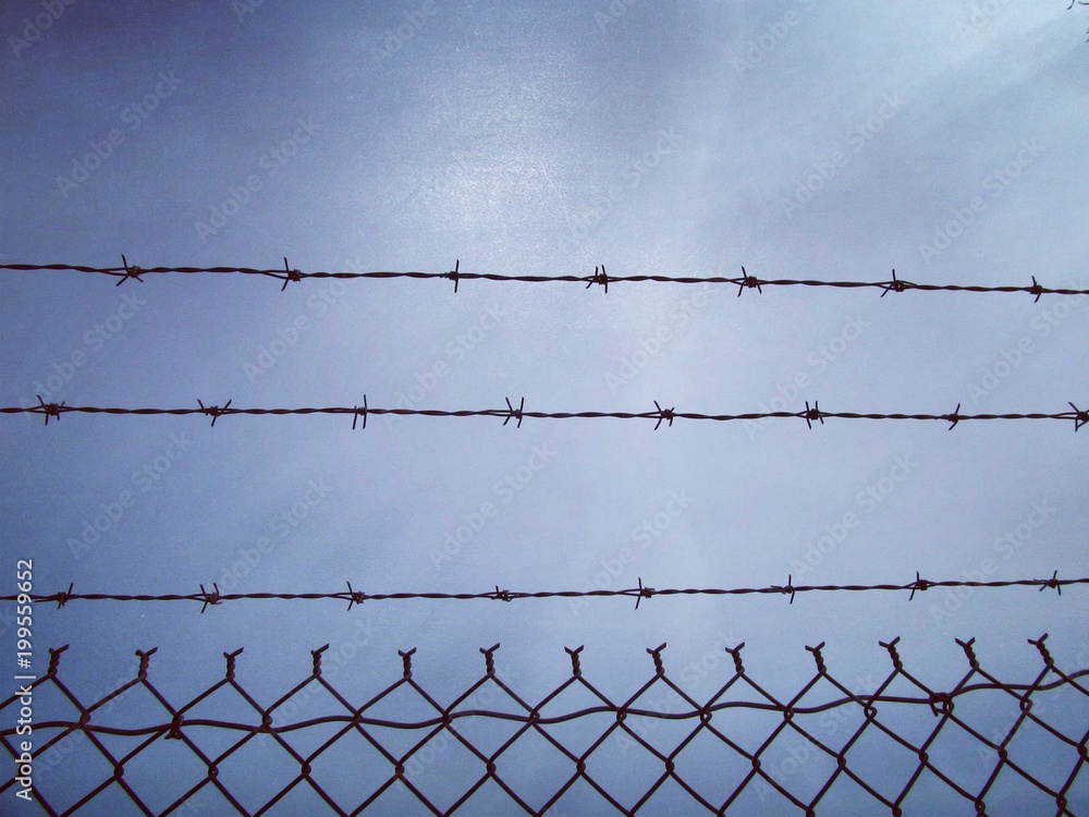 Caged Caged