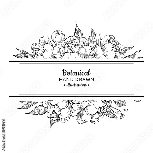 Flower vintage border. Vector peony and roses botanical drawing.
