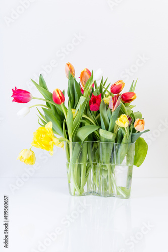 Fototapeta Naklejka Na Ścianę i Meble -  Tulpanbukett i olika färger i glas vas mot vit bakgrund