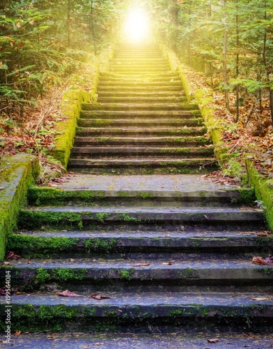 Photographie Steps leading up to the sun
