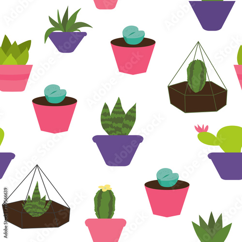 Sseamless pattern with cactus  photo