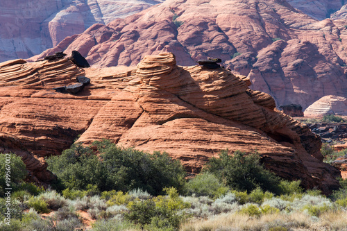 Snow Canyon