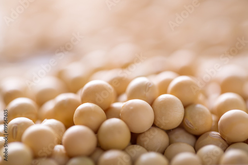 Closeup of soy beans
