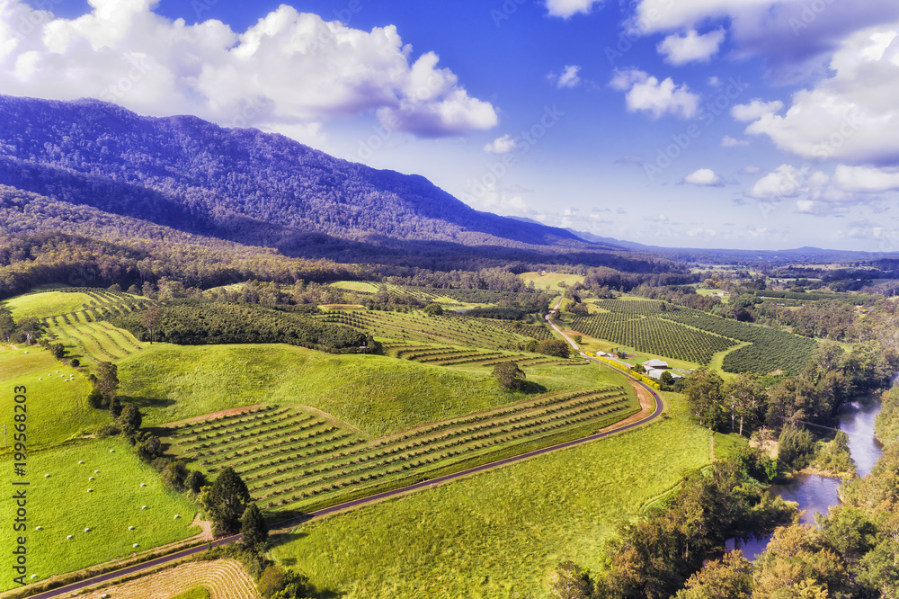 Fototapeta premium D Bellinger 2 Dorrigo Farms