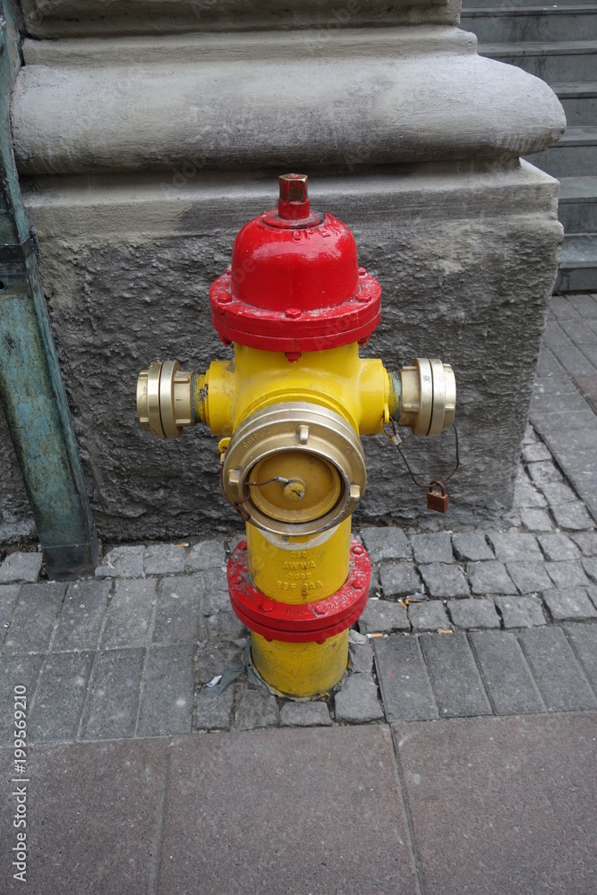 アイスランドの街中の消火栓