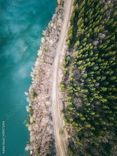 Evergreen pine trees and cr...