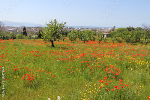 pretty italy