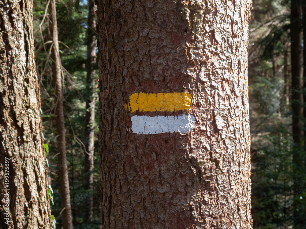 Fototapeta premium Wanderzeichen, Wanderwegzeichen