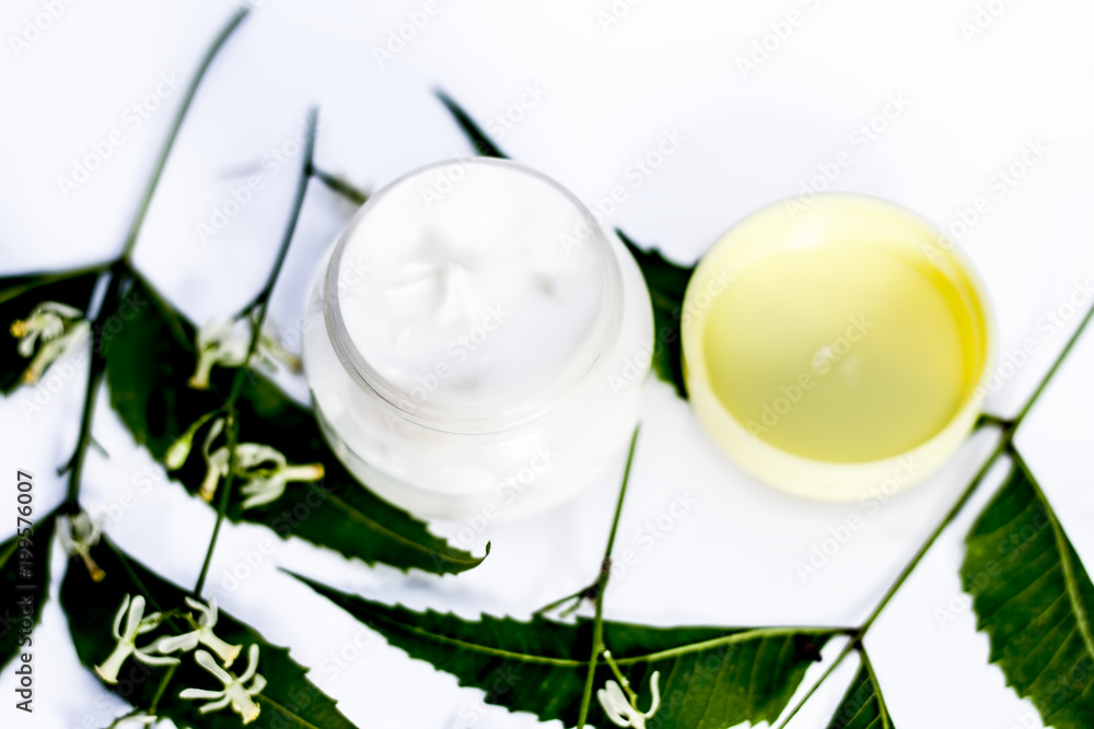 Close up of cream of Neem,Nim, Indian Iilac or Azadirachta indica with
