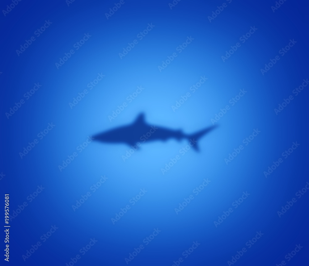 Shark silhouette on blue