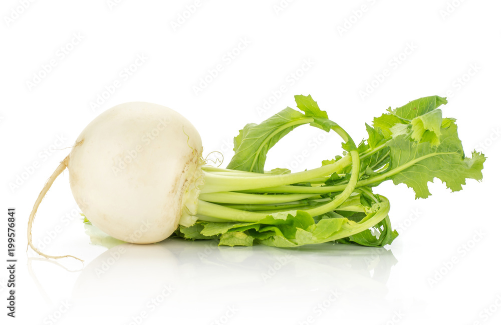 One white radish bulb with leaves isolated on white background. One white radish bulb with leaves isolated on white background.