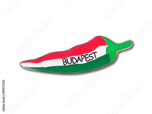 Photography Budapest (Hungary) souvenir refrigerator magnet isolated on white background