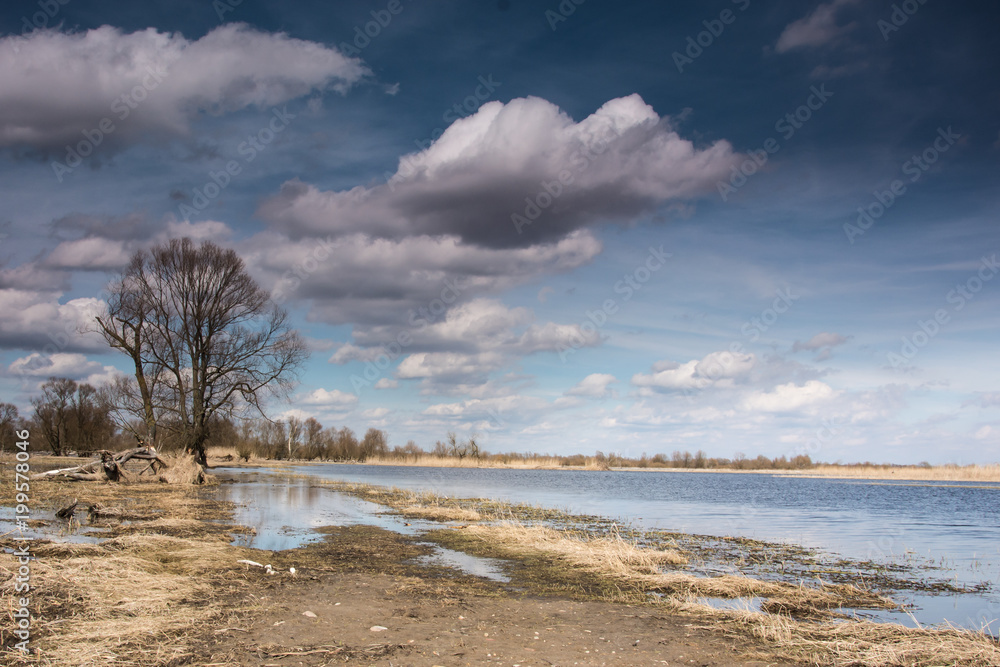 rozlewisko rzeki , wiosenne roztopy, zachmurzone niebo rozlewisko rzeki , wiosenne roztopy, zachmurzone niebo