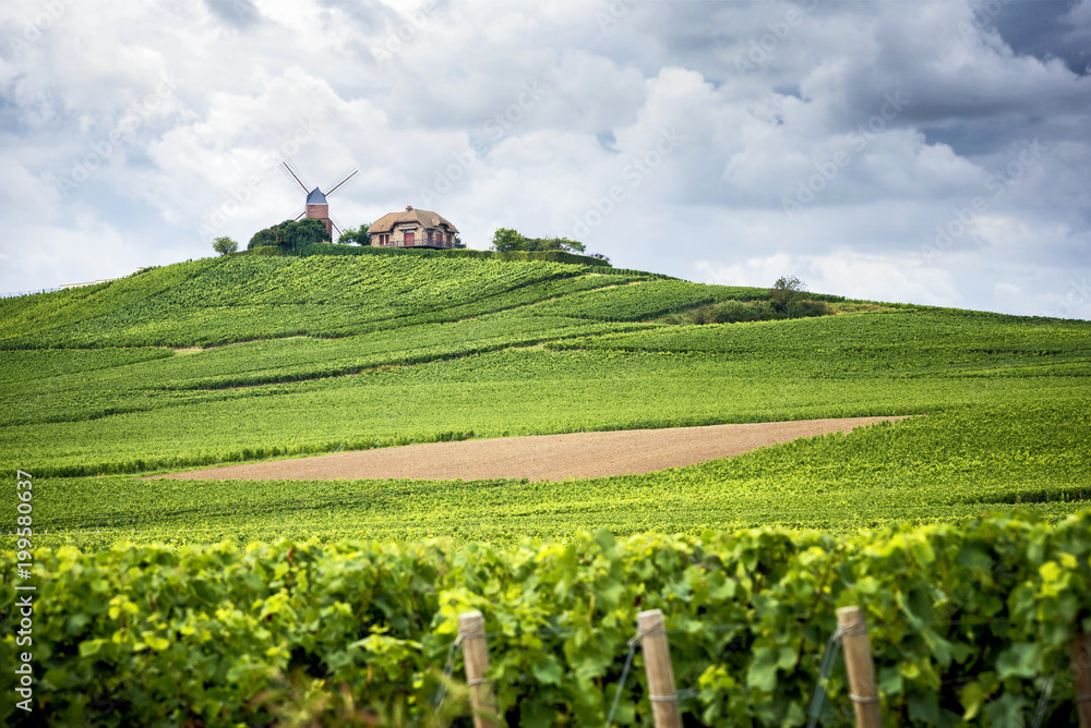 Champagne. Vineyard and windmill Champagne Region near Vernezay France