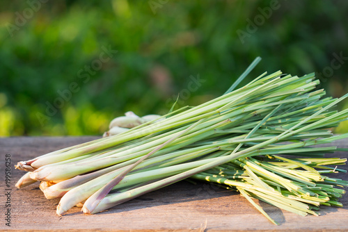 Tableau sur toile Herb plant,Lemon Grass on wood background