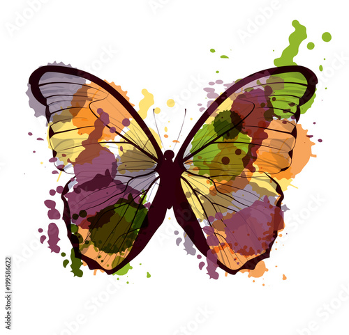 art sketched colorful butterfly symbol in vector