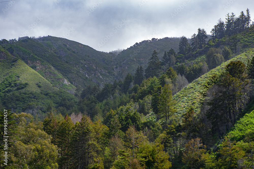 A Steep Mountain with Pine Trees and Clouds Climbing Over the Ridge in Big Sur National Park, California 