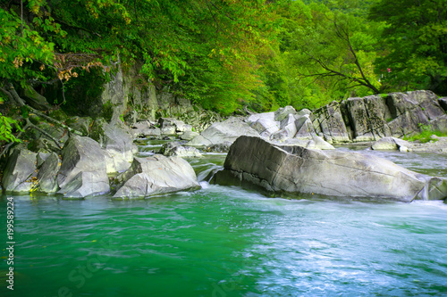 River in jungle
