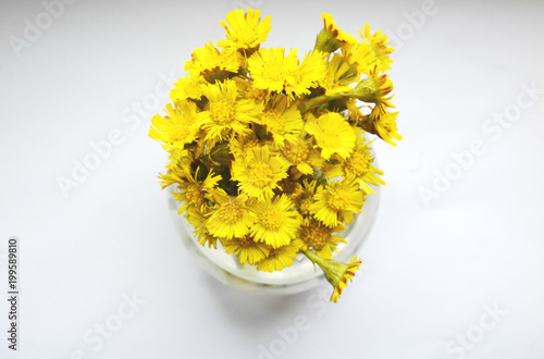 bouquet of yellow flowers in a vase on a white background, beautiful spring composition