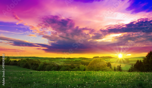 Fototapeta Naklejka Na Ścianę i Meble -  Spring sunset over the green field.