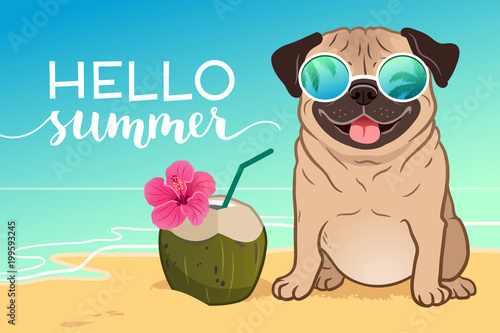 Pug dog wearing reflective sunglasses on a sandy beach, ocean in background, green coconut drink, Hello Summer text. Funny humorous lifestyle, tropical vacation, summer holidays, warm weather theme.