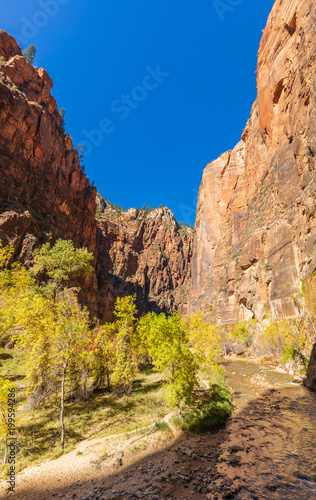 Zion National Park Autumn Landscape