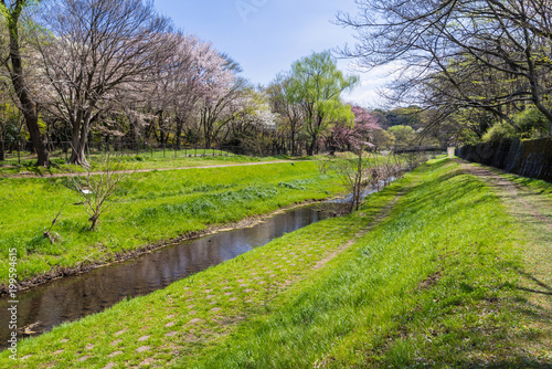 東京武蔵野 野川公園の風景