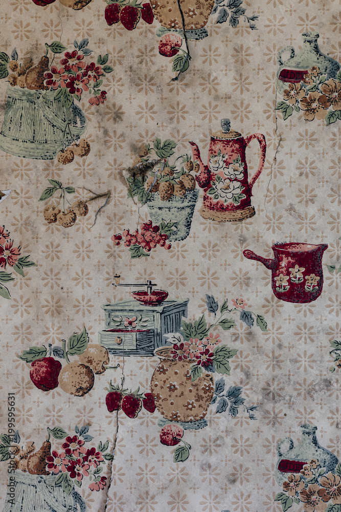 Vintage Retro Kitchen Wallpaper with Teapots - Abandoned Delaware House  Stock Photo | Adobe Stock